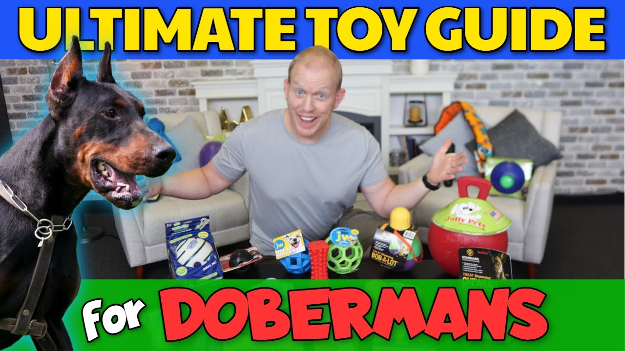 All Time Best Dog Toys For Dobermans: 20 Toys Tested! - Youtube