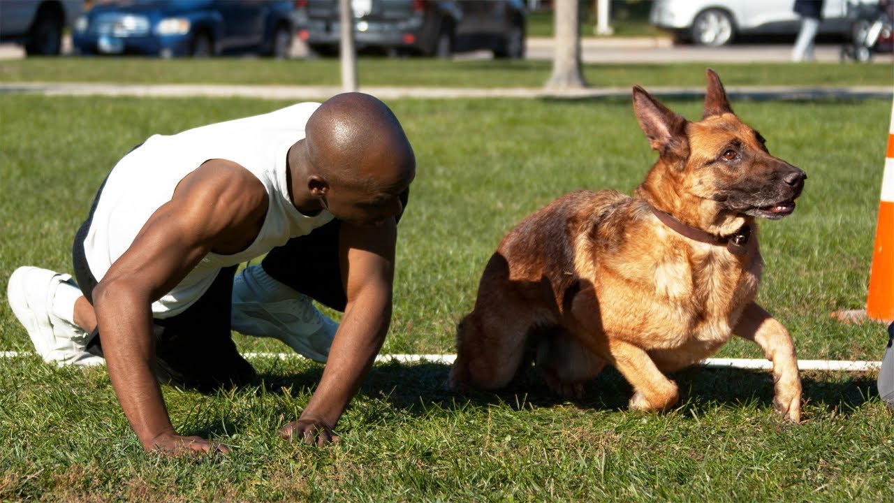 Dog Vs Human Sprinting - Who'S Faster? - Youtube