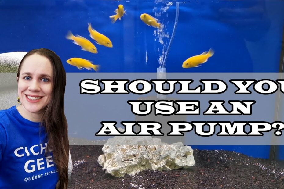 Should You Use An Air Pump In Your Aquarium? - How To Properly Oxygenate  Your Tank. - Youtube