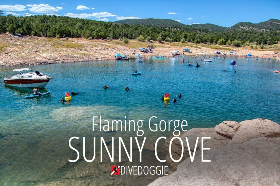 Sunny Cove Flaming Gorge - Youtube