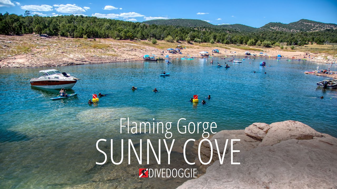 Sunny Cove Flaming Gorge - Youtube