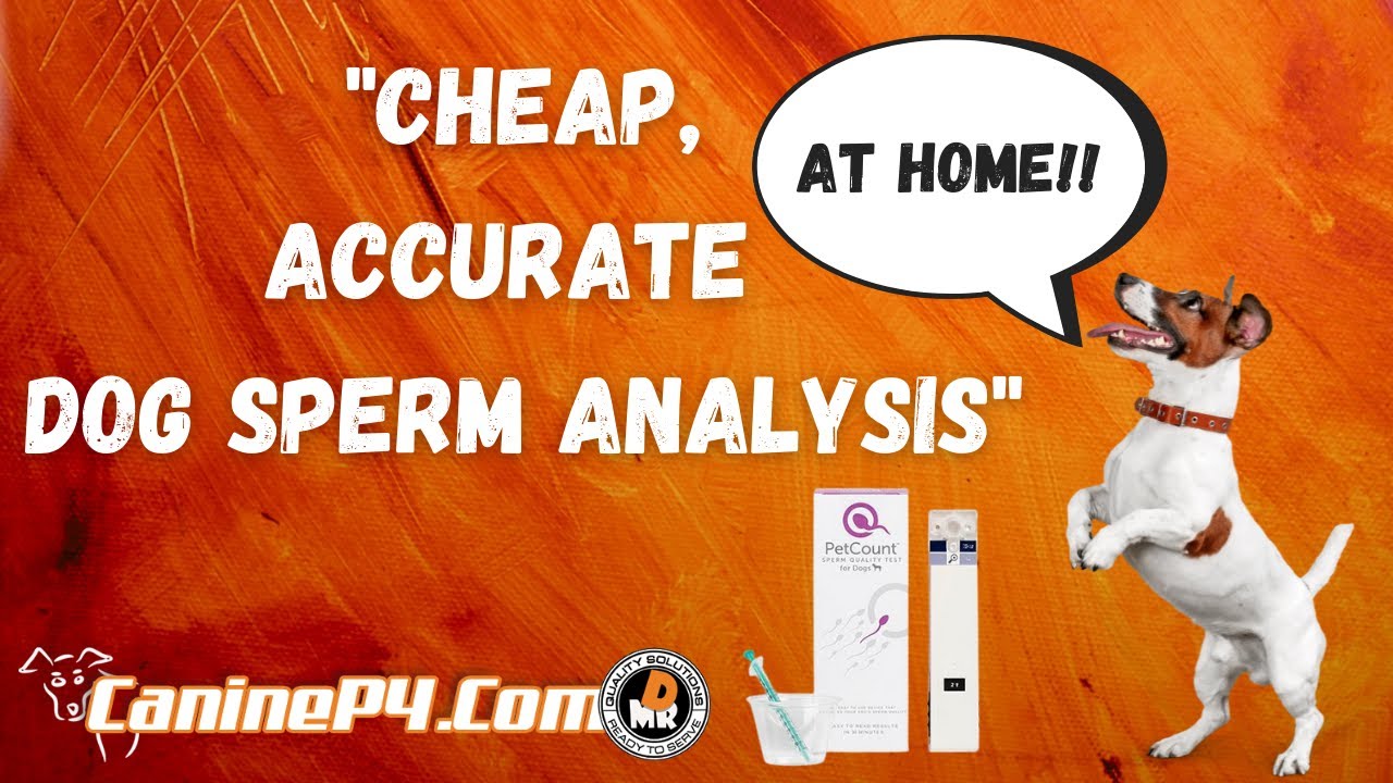 Petcount™ Canine Sperm Analysis Home Test