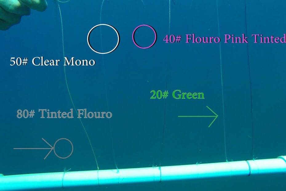 Mono Vs Fluoro Fishing Line (Which Is Better & Why?)