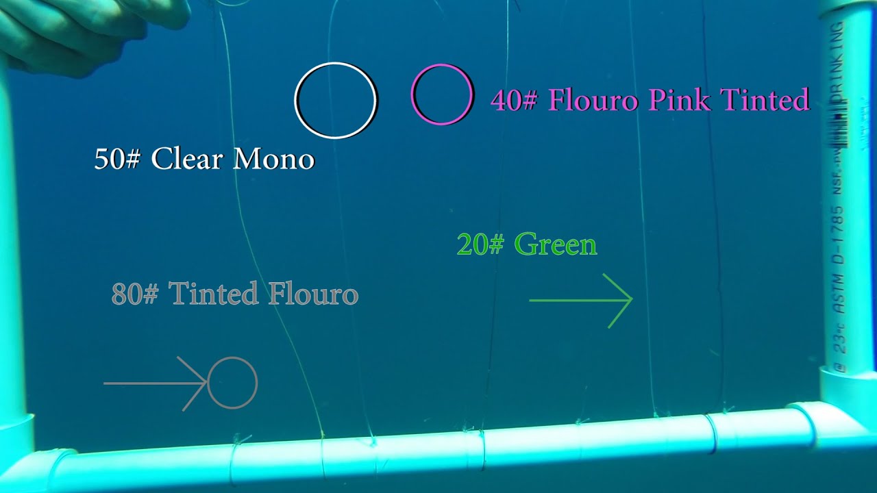 Mono Vs Fluoro Fishing Line (Which Is Better & Why?)