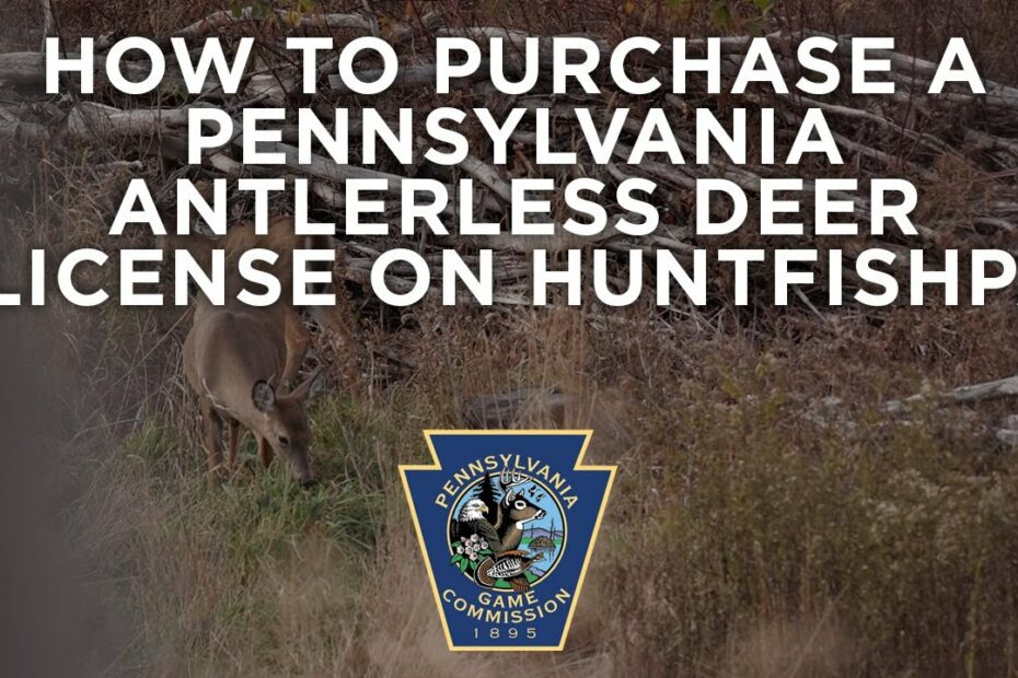 How To Purchase A Pennsylvania Antlerless Deer License On Huntfishpa -  Youtube