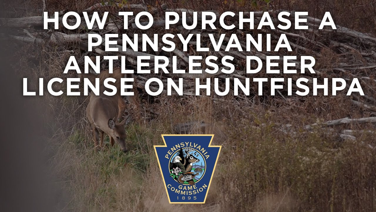 How To Purchase A Pennsylvania Antlerless Deer License On Huntfishpa -  Youtube