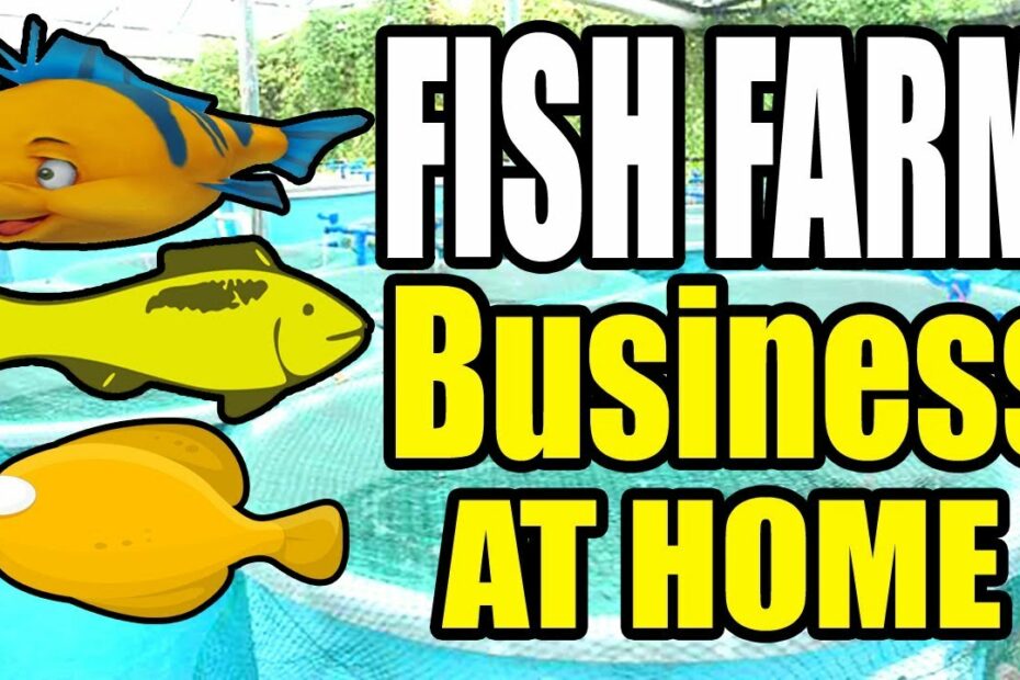 How To Start A Fish Farming Business At Home - Youtube