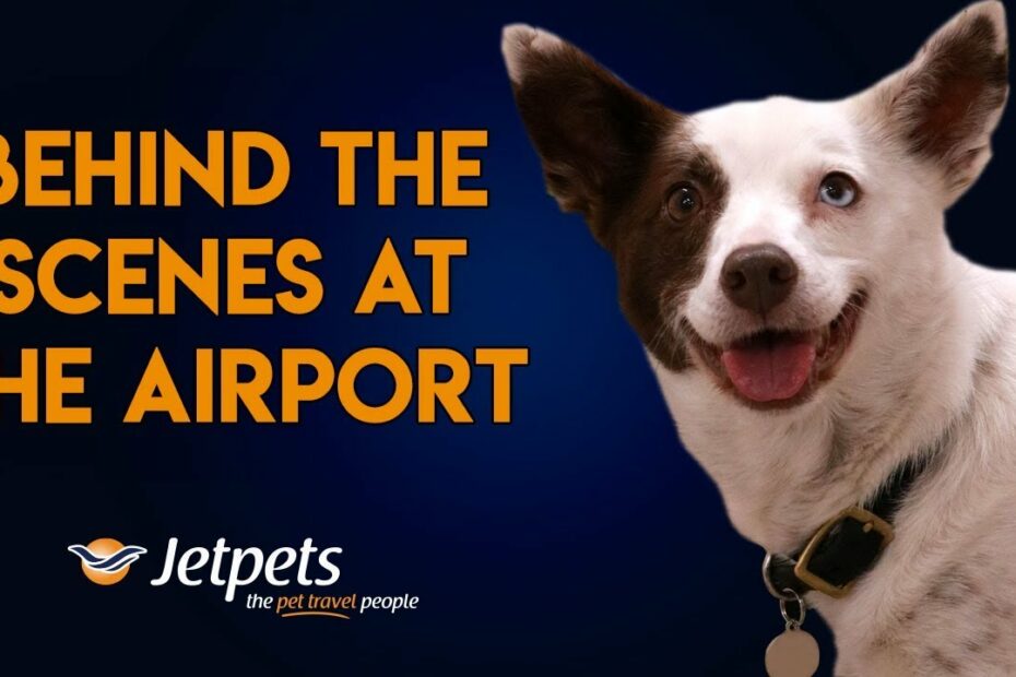 International Pet Transport To England - Jetpets Au