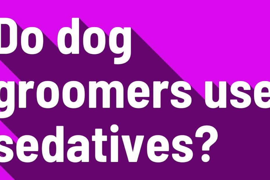 Do Dog Groomers Use Sedatives? - Youtube