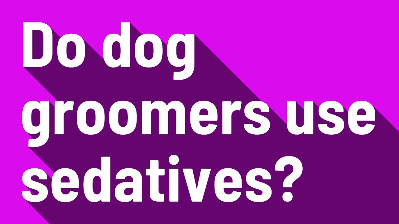 Do Dog Groomers Use Sedatives? - Youtube