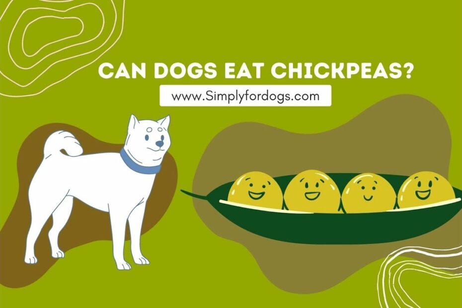 Can Dogs Eat Chickpeas - Youtube