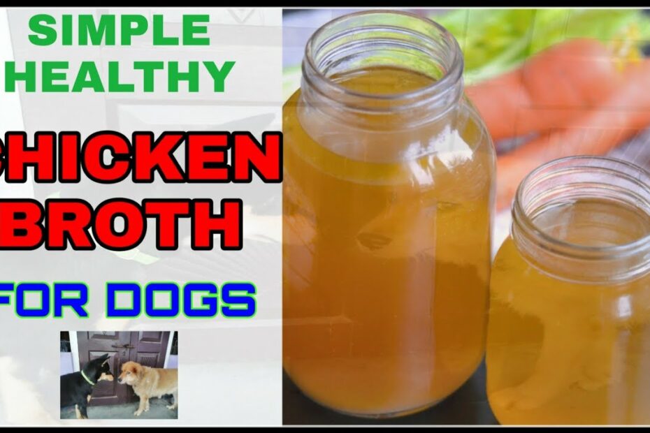 How To Make Chicken Broth For Dogs With Parvo (Easy Steps & Complete Guide)  - [2023]