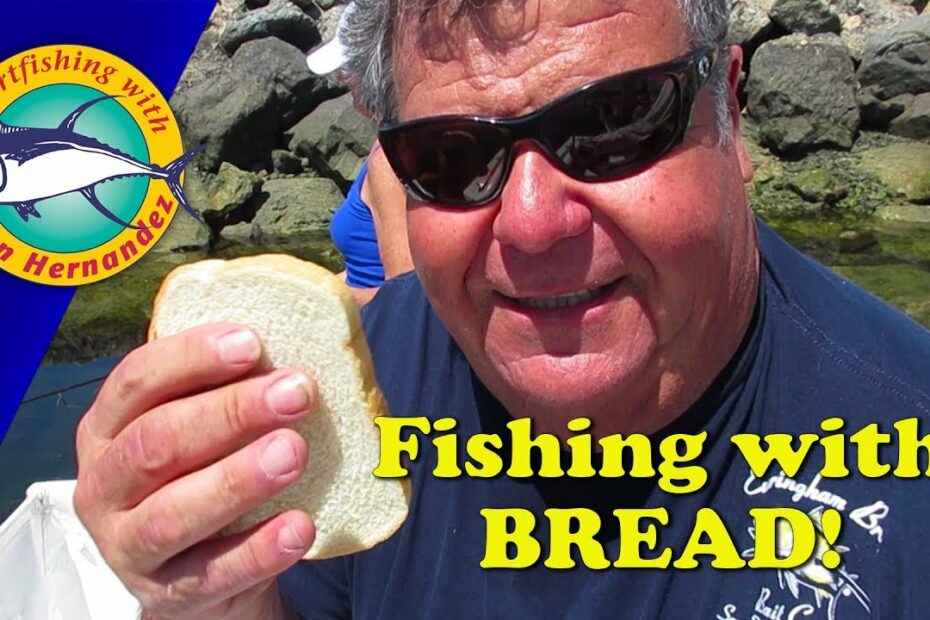 Fishing With Bread! | Sport Fishing - Youtube