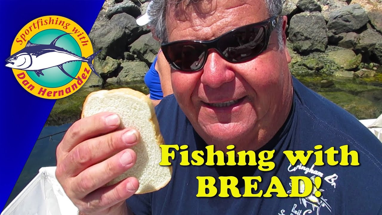 Fishing With Bread! | Sport Fishing - Youtube