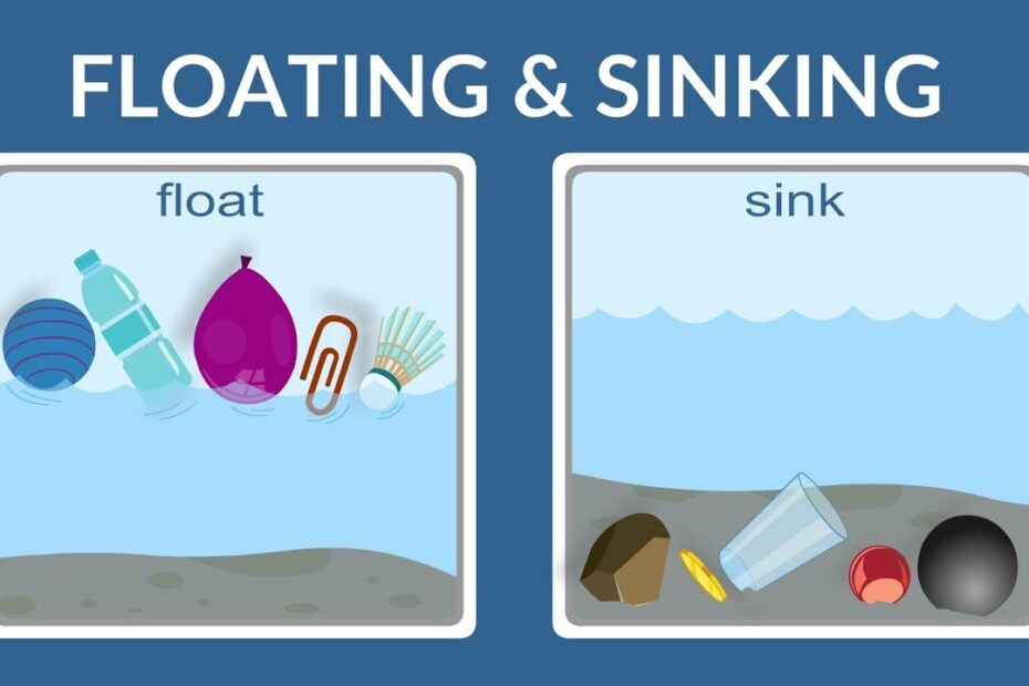 Float Or Sink - Why Do Things Float- Why Do Things Sink- Lesson For Kids -  Youtube