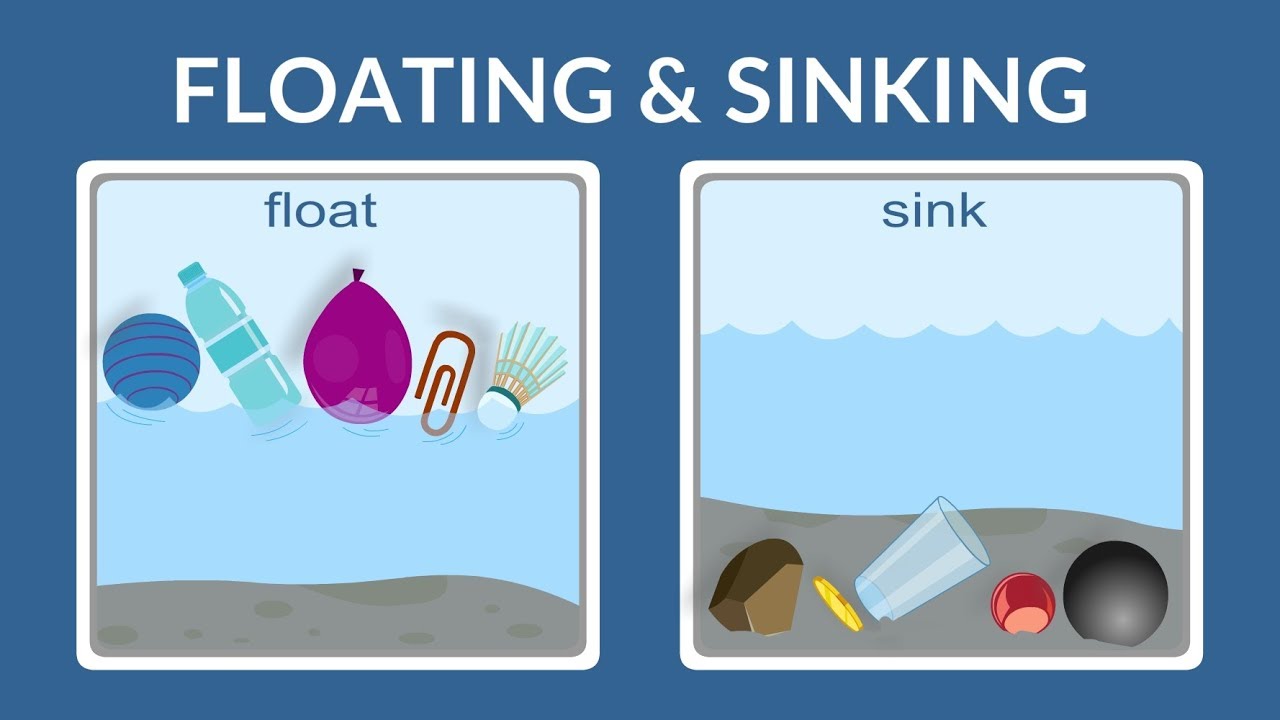 Float Or Sink - Why Do Things Float- Why Do Things Sink- Lesson For Kids -  Youtube