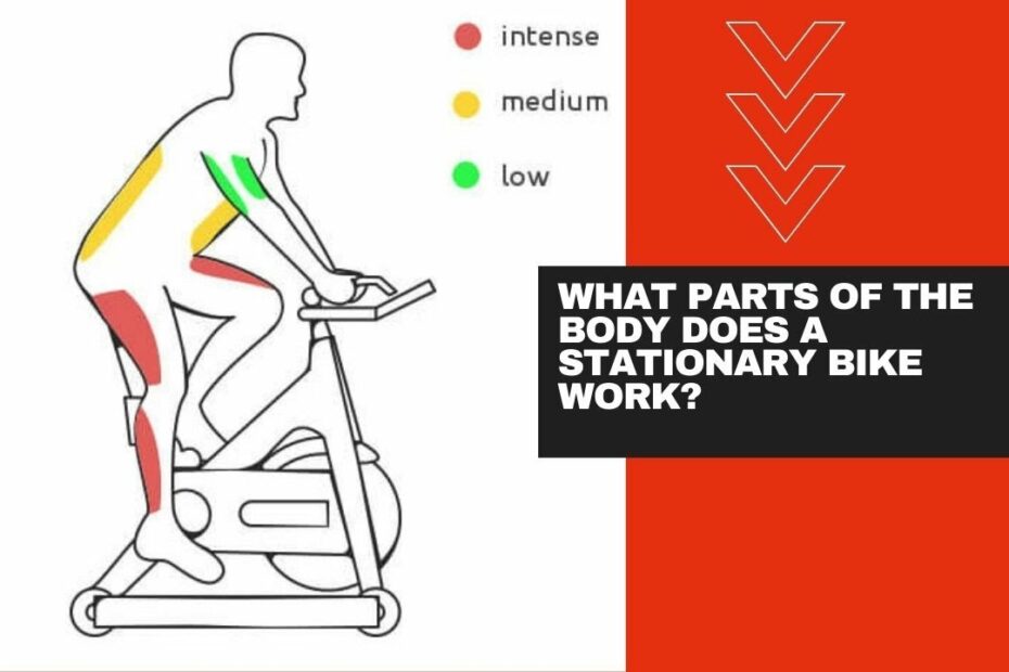 12 Ways A Stationary Bike Benefits Your Health