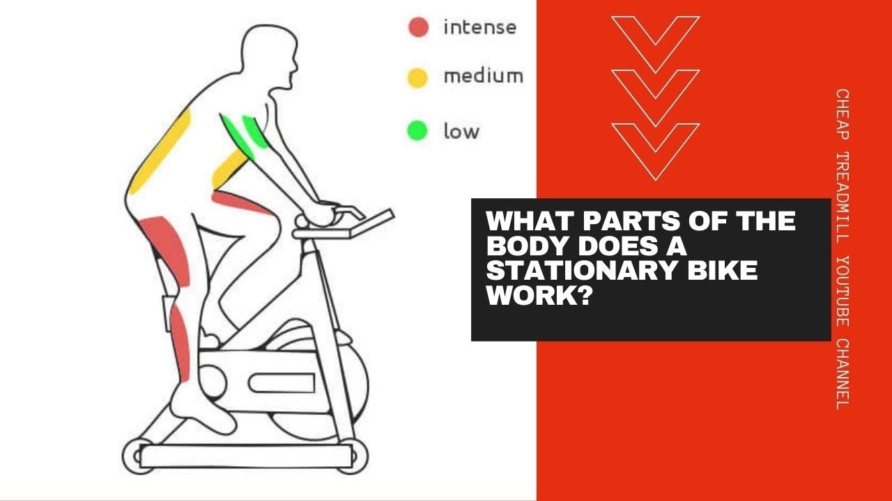 12 Ways A Stationary Bike Benefits Your Health