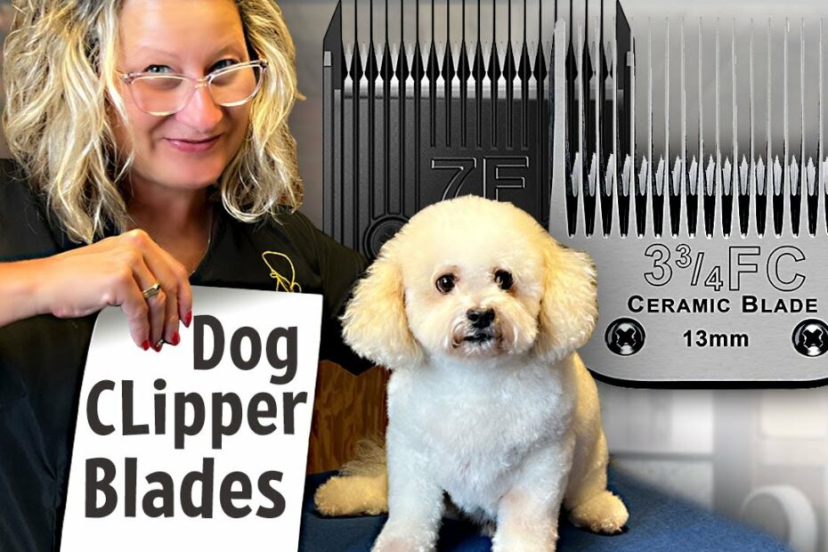 Dog Grooming Clipper Blades-Everything You Need To Know - Youtube