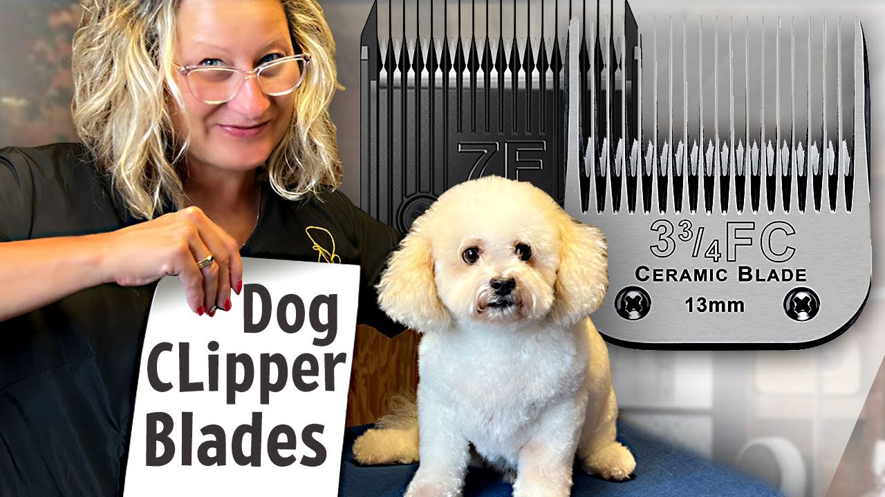 Dog Grooming Clipper Blades-Everything You Need To Know - Youtube