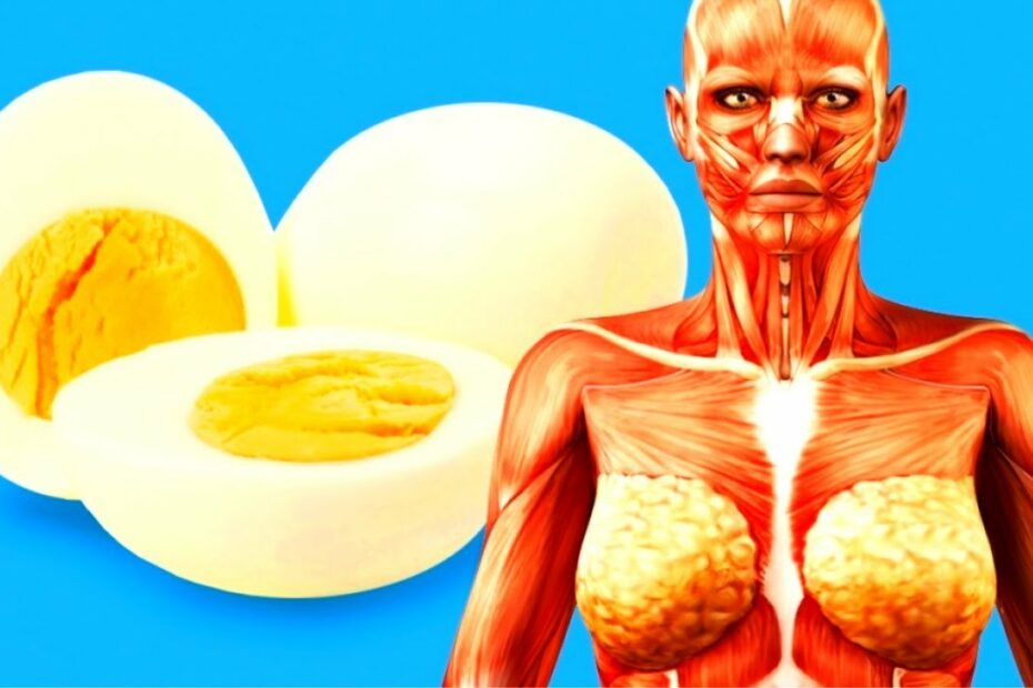 What Happens To Your Body When You Start Eating 2 Eggs A Day - Youtube