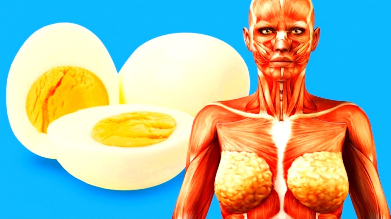 What Happens To Your Body When You Start Eating 2 Eggs A Day - Youtube