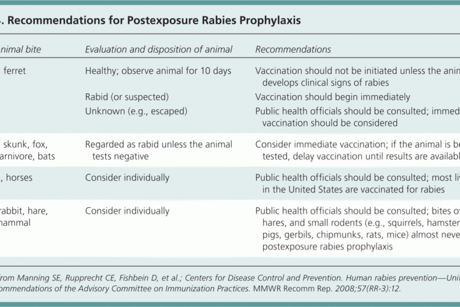 Dog And Cat Bites | Aafp