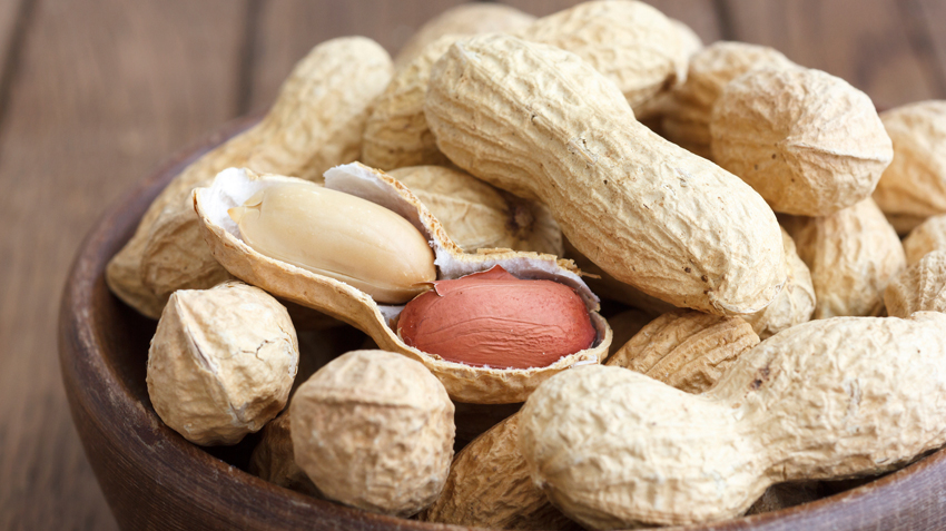 Are Peanuts Safe For Dogs To Eat? Food Safety & Health For Your Dog