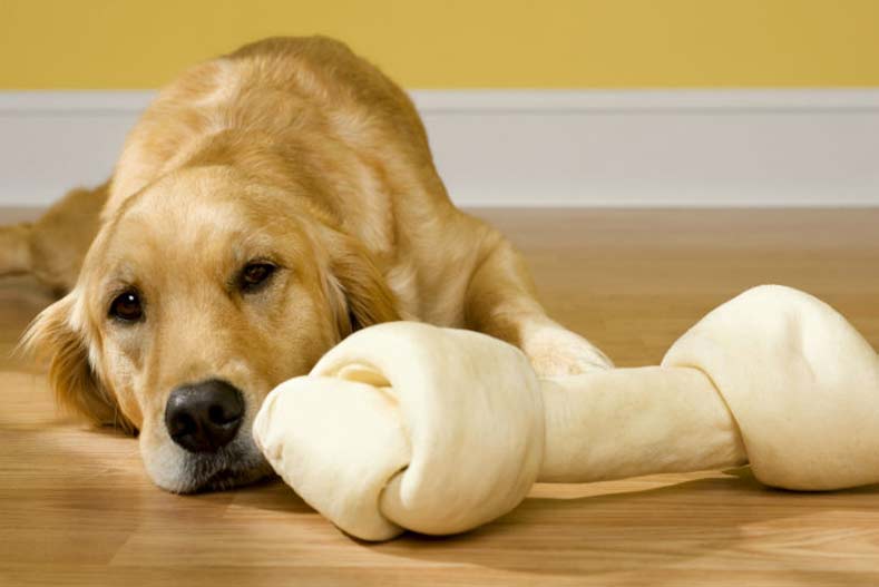 Are Rawhide Chews Dangerous For Dogs? – American Kennel Club