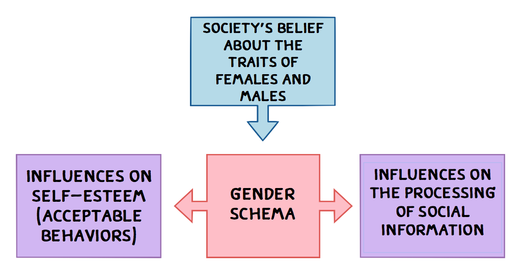 Gender Schema And Cultural Variations | Let'S Get Psyched!
