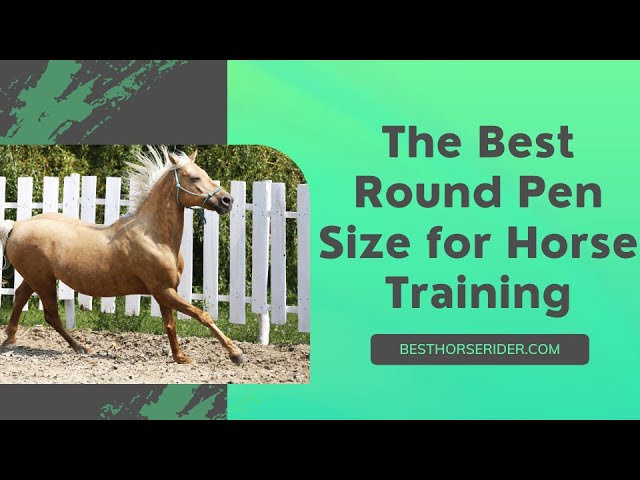 The Best Round Pen Size For Horse Training - Youtube