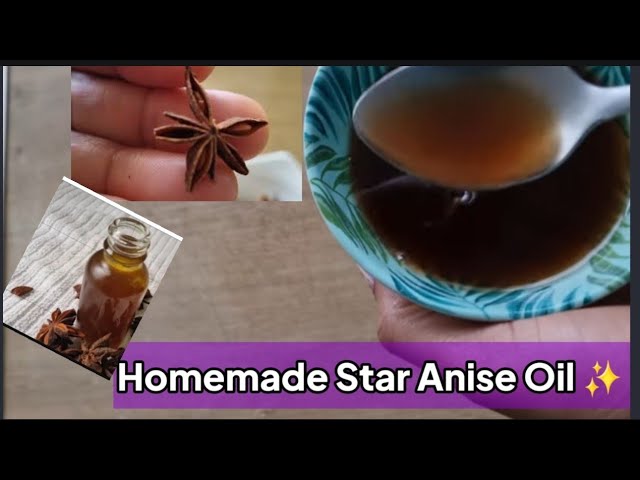 How To Make Star Anise Oil For Hair And Skin - Youtube