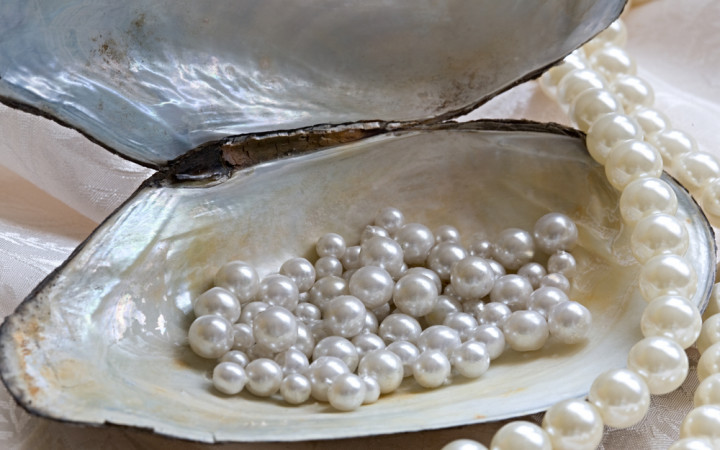 Does Every Oyster Have A Pearl? | Wonderopolis