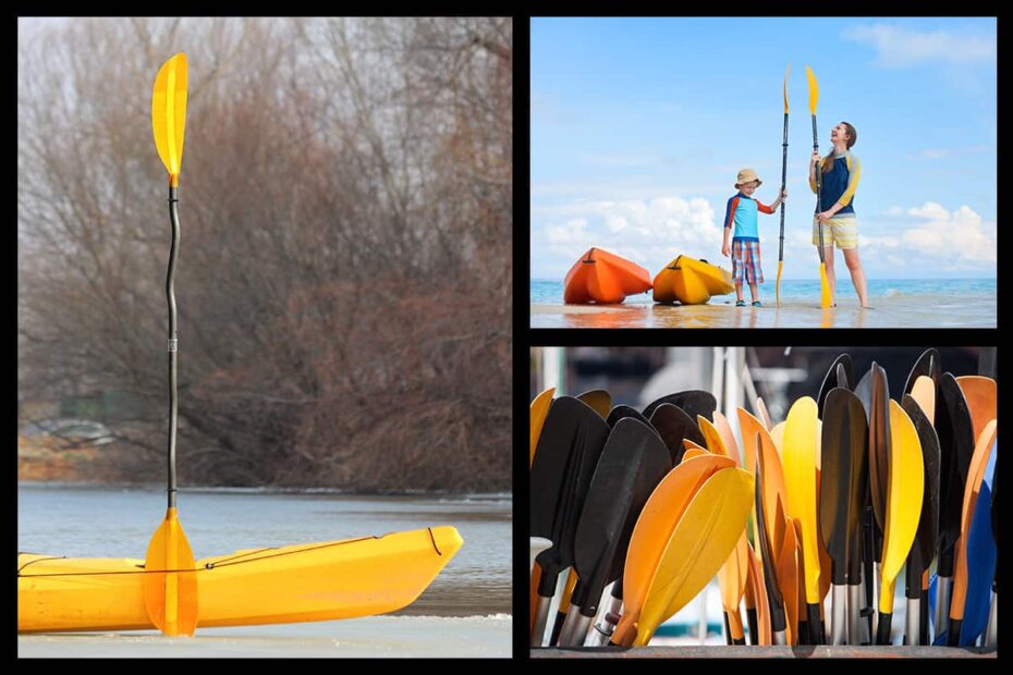 What Size Kayak Paddle Do I Need? (Sizing Guides) – Paddle Camp | The Best  Kayaking, Canoeing, Stand Up Paddle Boarding (Sup), And River Rafting  Resource