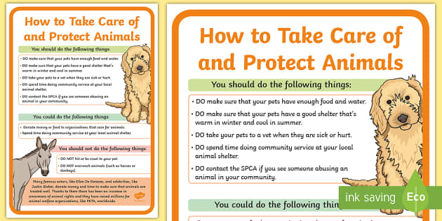 Caring For Animals Poster | Protecting Animals Information