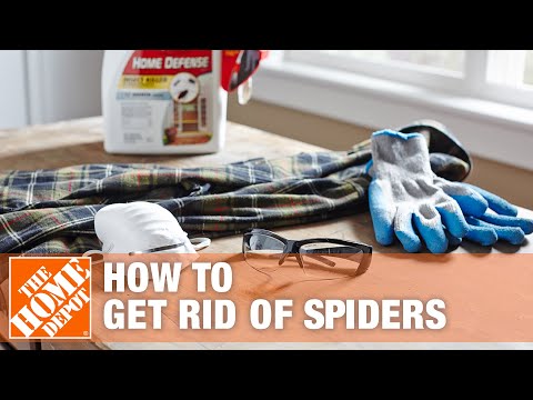 How to Get Rid of Spiders in Your House | The Home Depot