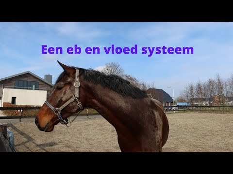 Eb en vloed bodem | #informatief | PHDressage (2021)