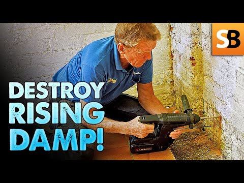 Easy DIY Solution to Treat Rising Damp in Walls