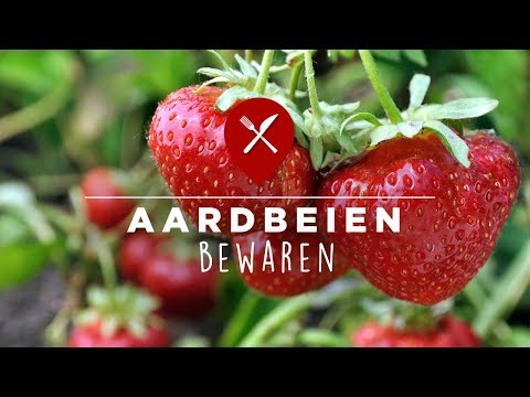 Hoe kun je het best aardbeien bewaren?