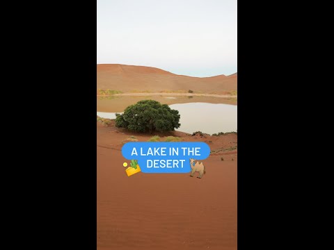 Have you ever seen a lake in a desert? 🏜️🐫 Here is one – in Namib Desert!