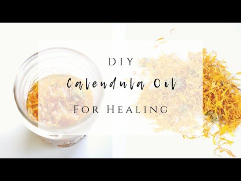 DIY Calendula Oil for Healing