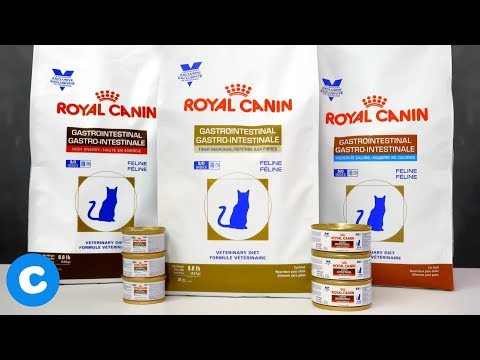 Royal Canin Veterinary Diet Gastrointestinal Formulas for Felines