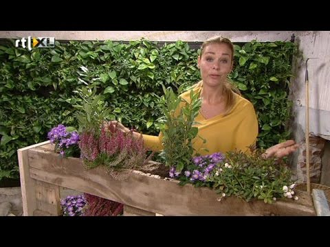 Palletplantenbak - EIGEN HUIS & TUIN