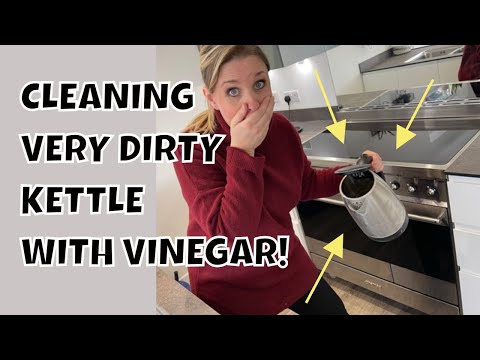 Cleaning your kettle with vinegar - this works! Easy way to descale kettle