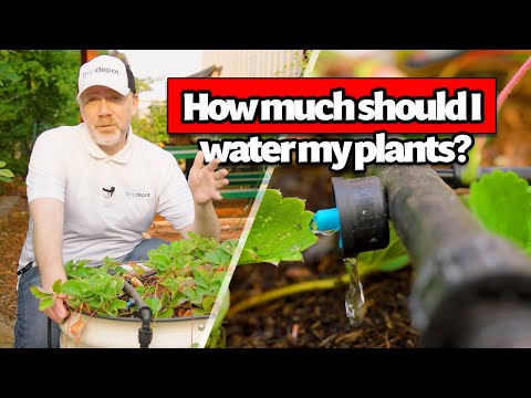 How Long Are You Supposed to Run a Drip Irrigation System?