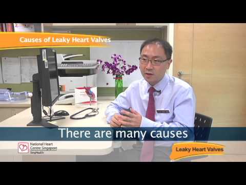 Leaky Heart Valves - Causes, Symptoms & Treatments