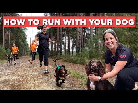 The Ultimate Guide to Running with Your Dog | Dos and Don’ts