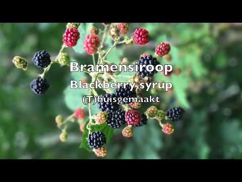 bramensiroop, blackberry syrup