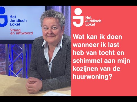 Ik heb toch en schimmel bij mijn raamkozijn van mijn huurhuis. Wat nu? | Het Juridisch Loket