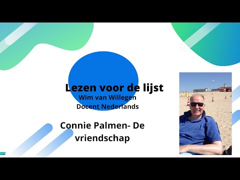 Connie Palmen - De vriendschap 1995